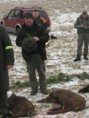 /album/polovacka-29-12-2011/a970228-3144896996654-1514526355-n-jpg/